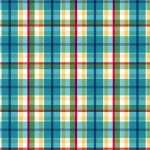 PUEBLO PLAID ON MINKY  - 24 yard minimum - Contact your account manager to purchase