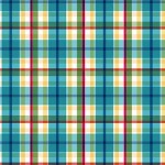 PUEBLO PLAID ON MINKY  - 24 yard minimum - Contact your account manager to purchase
