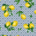 LEMON TILES ON MINKY  - 24 yard minimum - Contact your account manager to purchase