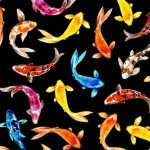 COLORFUL KOI ON MINKY - 24 yard minimum - Contact your account manager to purchase