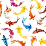 COLORFUL KOI ON MINKY - 24 yard minimum - Contact your account manager to purchase