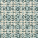 COZY PLAID ON MINKY 