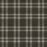 COZY PLAID ON MINKY  