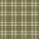 COZY PLAID ON MINKY  