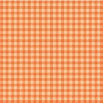 CHECKERED ON MINKY - Contact your account manager to purchase