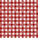 ALPINE GINGHAM ON MINKY  - Contact your account manager to purchase