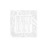 WHITE HOT 10" SQUARE 42 pc - comes in a case of 5