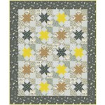 Star Struck Quilt by Swirly Girls Design /60"x72"