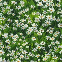 COLOR: GREEN