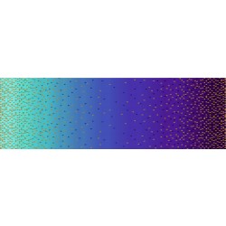 OMBRE BORDER