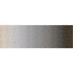 OMBRE BORDER