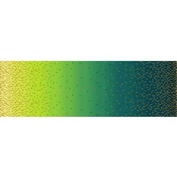 OMBRE BORDER