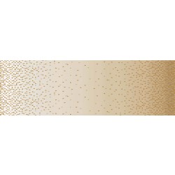 OMBRE BORDER