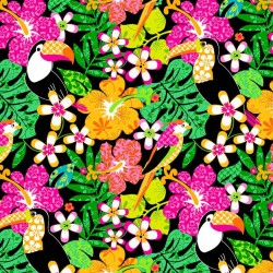TOUCAN TROPICS