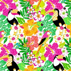 TOUCAN TROPICS