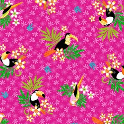 TOCO TOUCAN