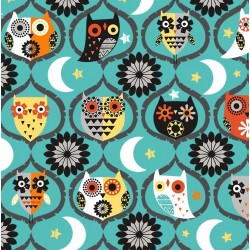OWL NIGHT LONG