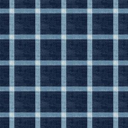 MIDNIGHT PLAID