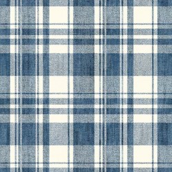 DENIM CHECK