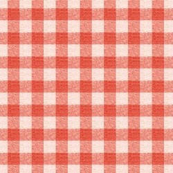 PLUSH GINGHAM