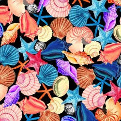 SEASHELL COLLAGE