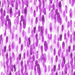 PETAL BRUSHSTROKES