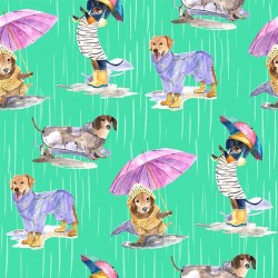 DOGS IN THE RAIN