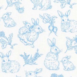 BUNNY RABBIT TOILE