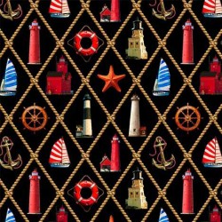 CELESTIAL COASTLINES