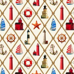 CELESTIAL COASTLINES