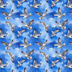 GULLS & SKY