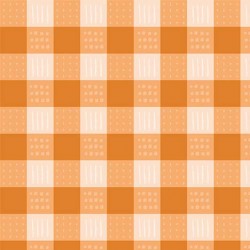 WILD WEST GINGHAM