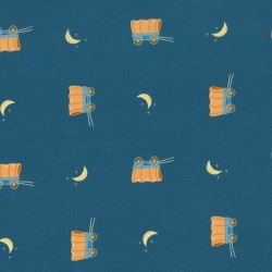 MOON AND WAGONS