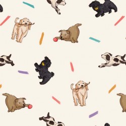 DOG PARK