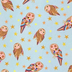 ENCHANTED OWLS