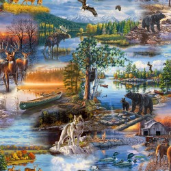 THE GREAT OUTDOORS