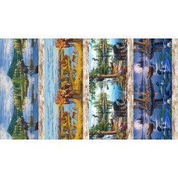 NORTH COUNTRY STRIPE