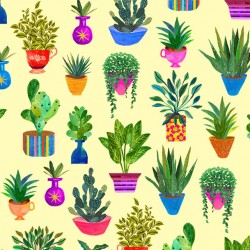 HOUSEPLANTS