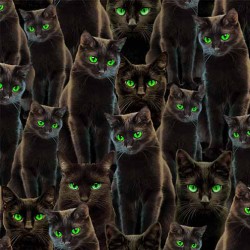HALLOWEEN CATS