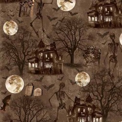 SPOOKY HAUNTED HOUSE