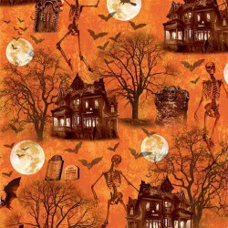 SPOOKY HAUNTED HOUSE