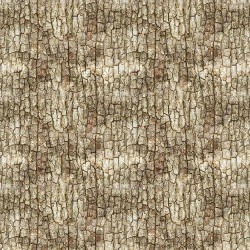 BARK TEXTURE