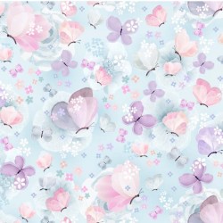 BUTTERFLY DREAMS