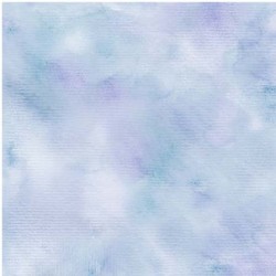 FAIRY WING TEXTURE