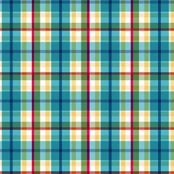 PUEBLO PLAID ON MINKY  - 24 yard minimum - Contact your account manager to purchase