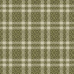 COZY PLAID ON MINKY  