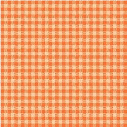 CHECKERED ON MINKY - Contact your account manager to purchase