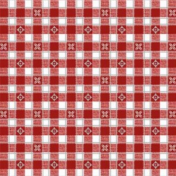 ALPINE GINGHAM ON MINKY  - Contact your account manager to purchase