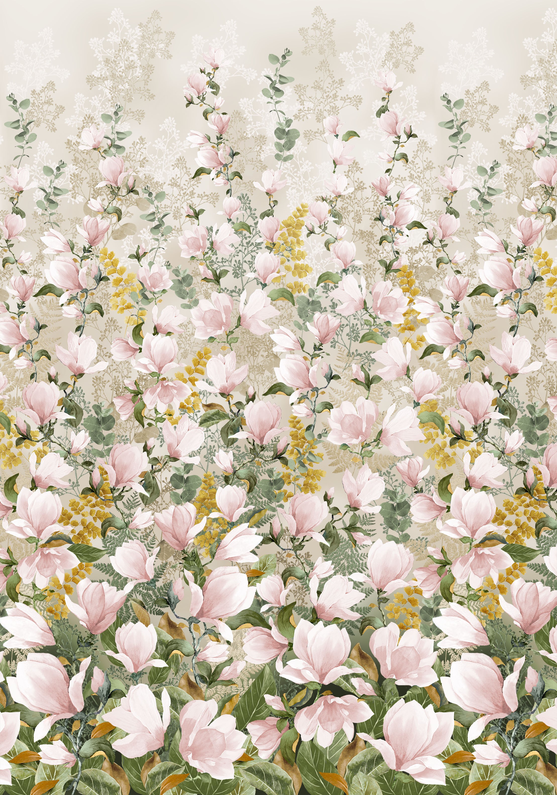 magnolia garden spring summer blooms blossoms petals