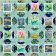 Block Talk Stars Quilt feat. Jungle Menagerie By Swirly Girls Design 